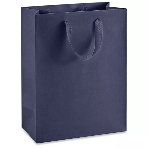 Ribbon Handle Paper bags Medium Tall Bag