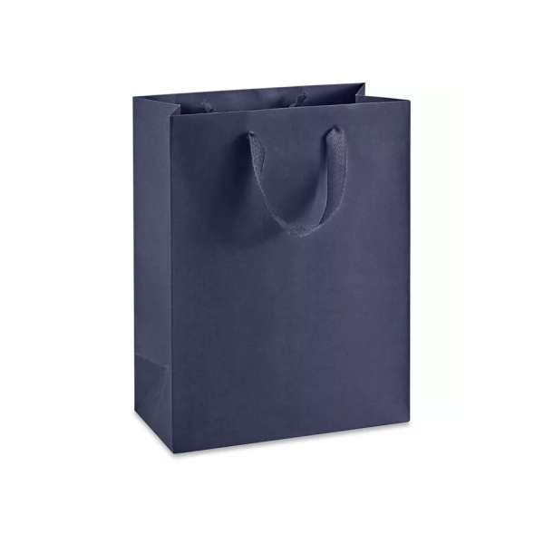 Ribbon Handle Paper bags Medium Tall Bag