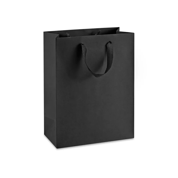 Ribbon Handle Paper bags Medium Tall Bag