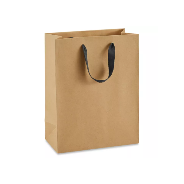 Ribbon Handle Paper bags Medium Tall Bag