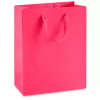 Ribbon Handle Paper bags Medium Tall Bag