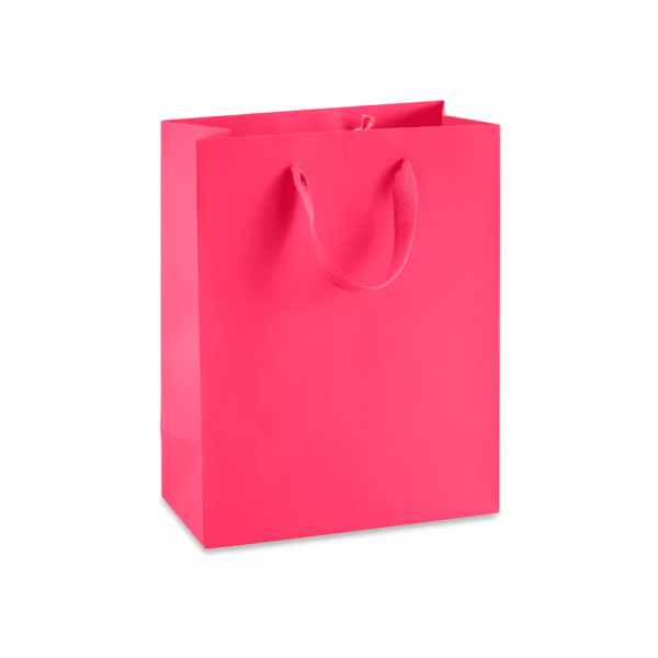 Ribbon Handle Paper bags Medium Tall Bag