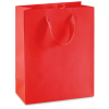 Ribbon Handle Paper bags Medium Tall Bag