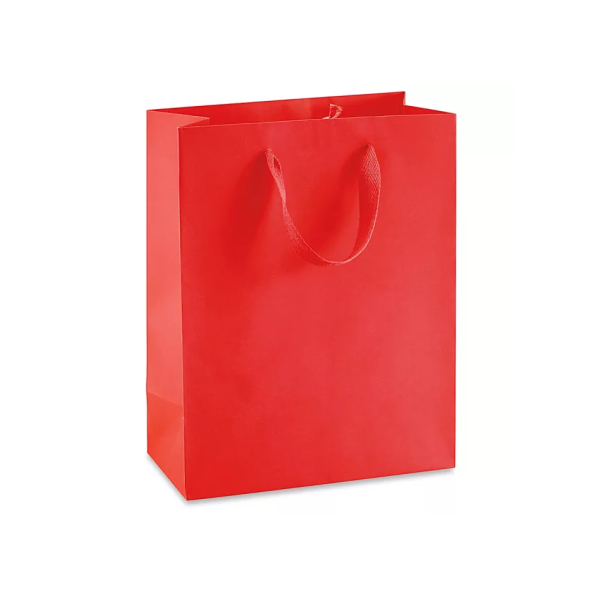 Ribbon Handle Paper bags Medium Tall Bag
