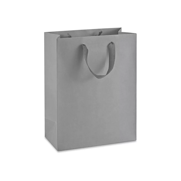 Ribbon Handle Paper bags Medium Tall Bag