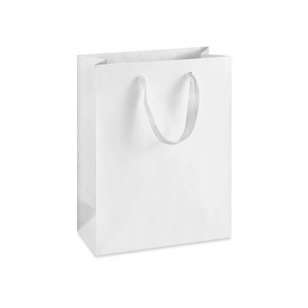 Ribbon Handle Paper bags Medium Tall Bag
