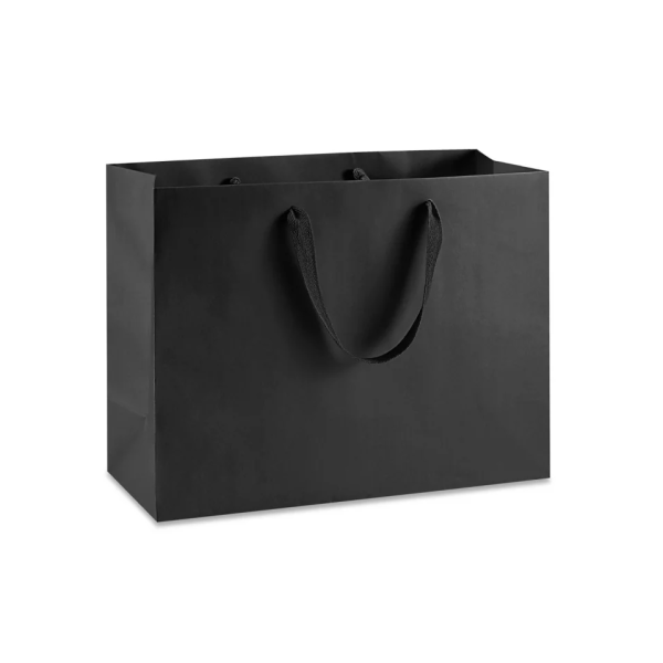 Ribbon Handle Paper bags