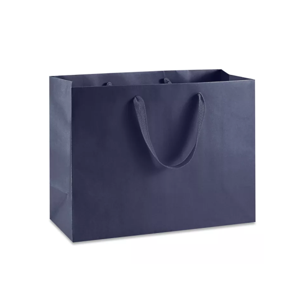 Ribbon Handle Paper bags