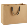 Ribbon Handle Paper bags