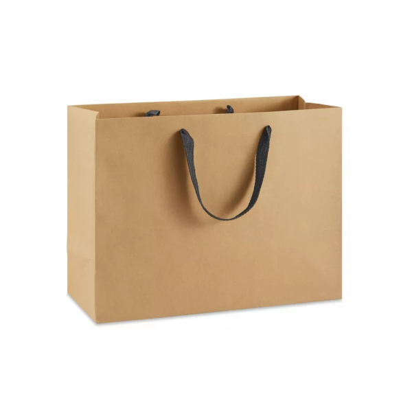 Ribbon Handle Paper bags
