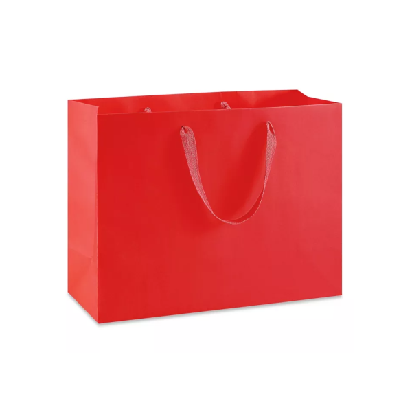 Ribbon Handle Paper bags