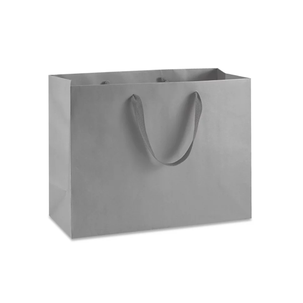 Ribbon Handle Paper bags