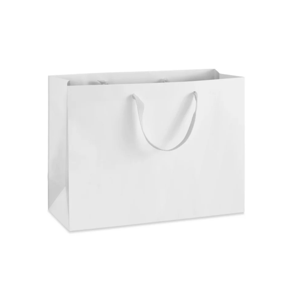 Ribbon Handle Paper bags