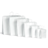 White Kraft Paper Bag